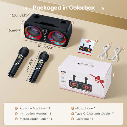 Karaoke All-in-One Karaoke Machine with 30W Bluetooth Speaker 2 Wireless Karaoke Microphones Rechargeable Microphone Slot